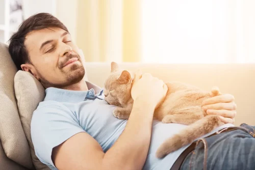 Din katts 8 vanligaste liggpositioner - och vad de betyder